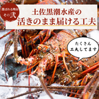 伊勢海老 活きのまま届けるための工夫
