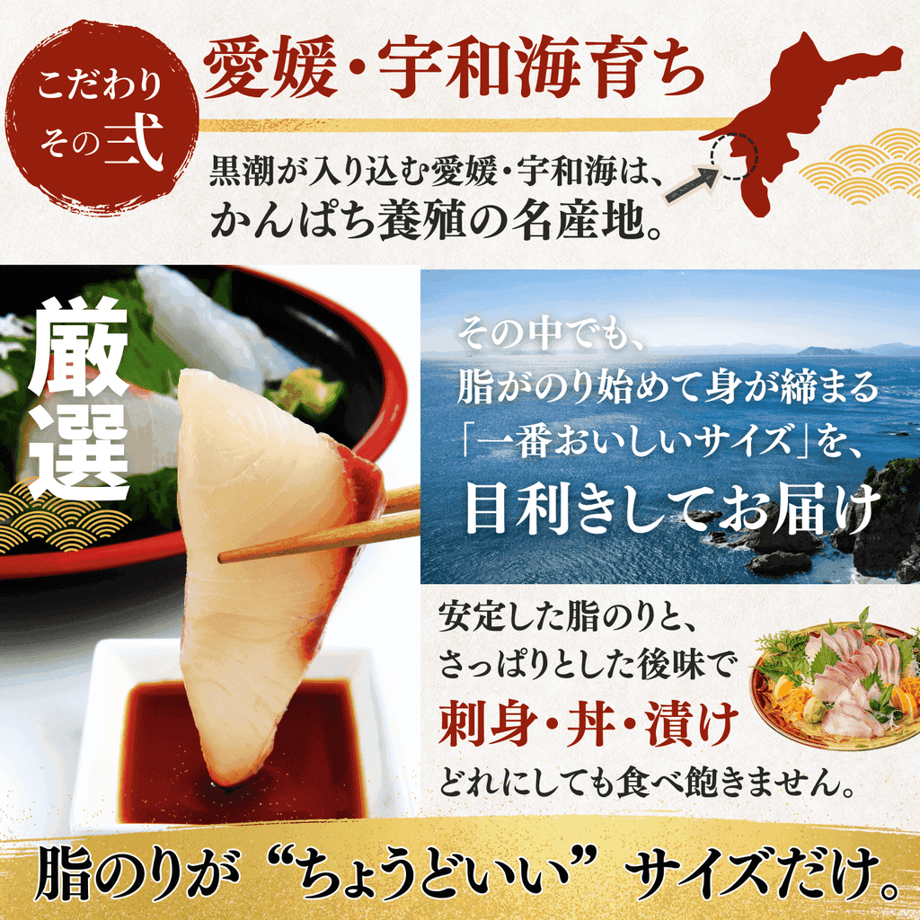 Greater Amberjack Sashimi Block: 300g