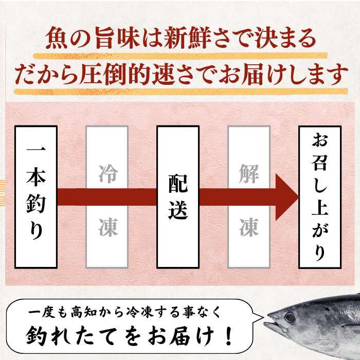 【お刺身セット6種】生カツオのタタキ(1節 or 半節)+ビンチョウマグロ/ブリ/タイ/シマアジ/ヒラメ(各柵150g)