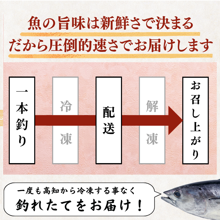 【お刺身セット5種】生カツオのタタキ(1節 or 半節)+ブリ/タイ/シマアジ/ヒラメ(各柵150g)