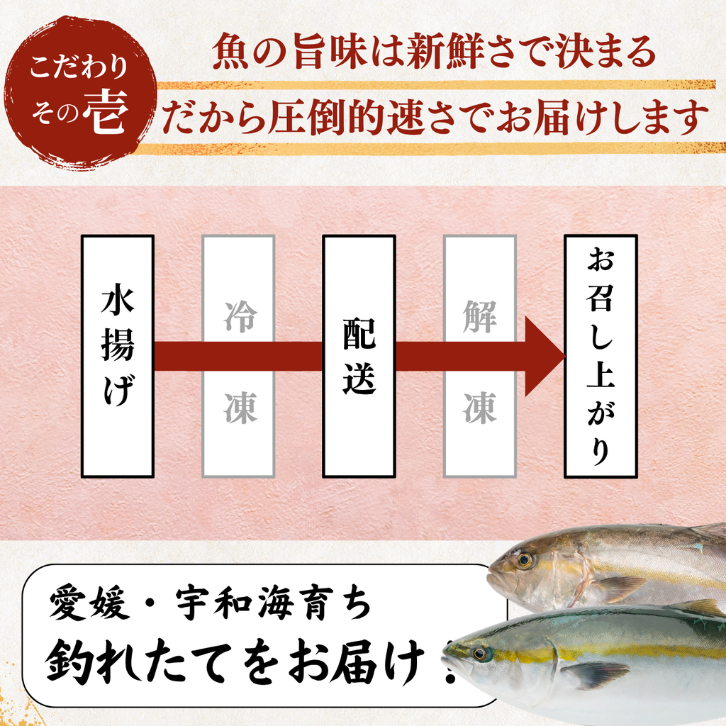 Striped Jack Sashimi ＜1 block, Net Wt. 150g＞