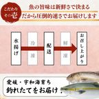 Striped Jack Sashimi ＜1 block, Net Wt. 150g＞