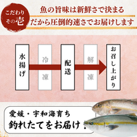 Striped Jack Sashimi ＜1 block, Net Wt. 150g＞