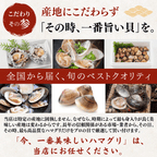【活き】ハマグリ　＜1枚：40g程＞