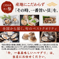 【活き】ハマグリ　＜1枚：40g程＞
