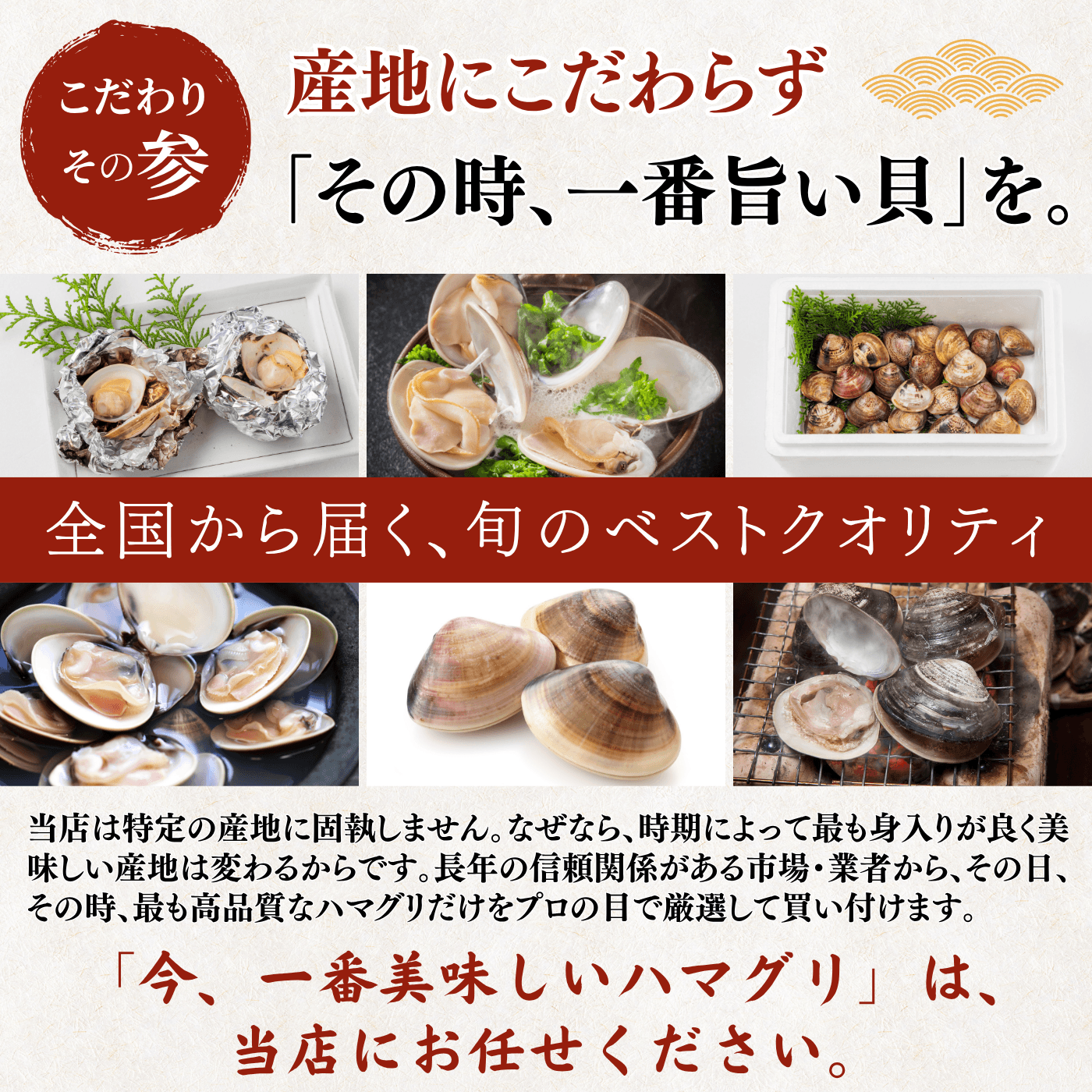 【活き】ハマグリ　＜1枚：40g程＞