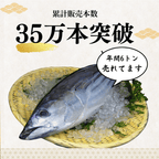 Straw-grilled Bonito Tataki - Raw <Serves 1-8: 250-1500g, 0.5-3 whole loins>