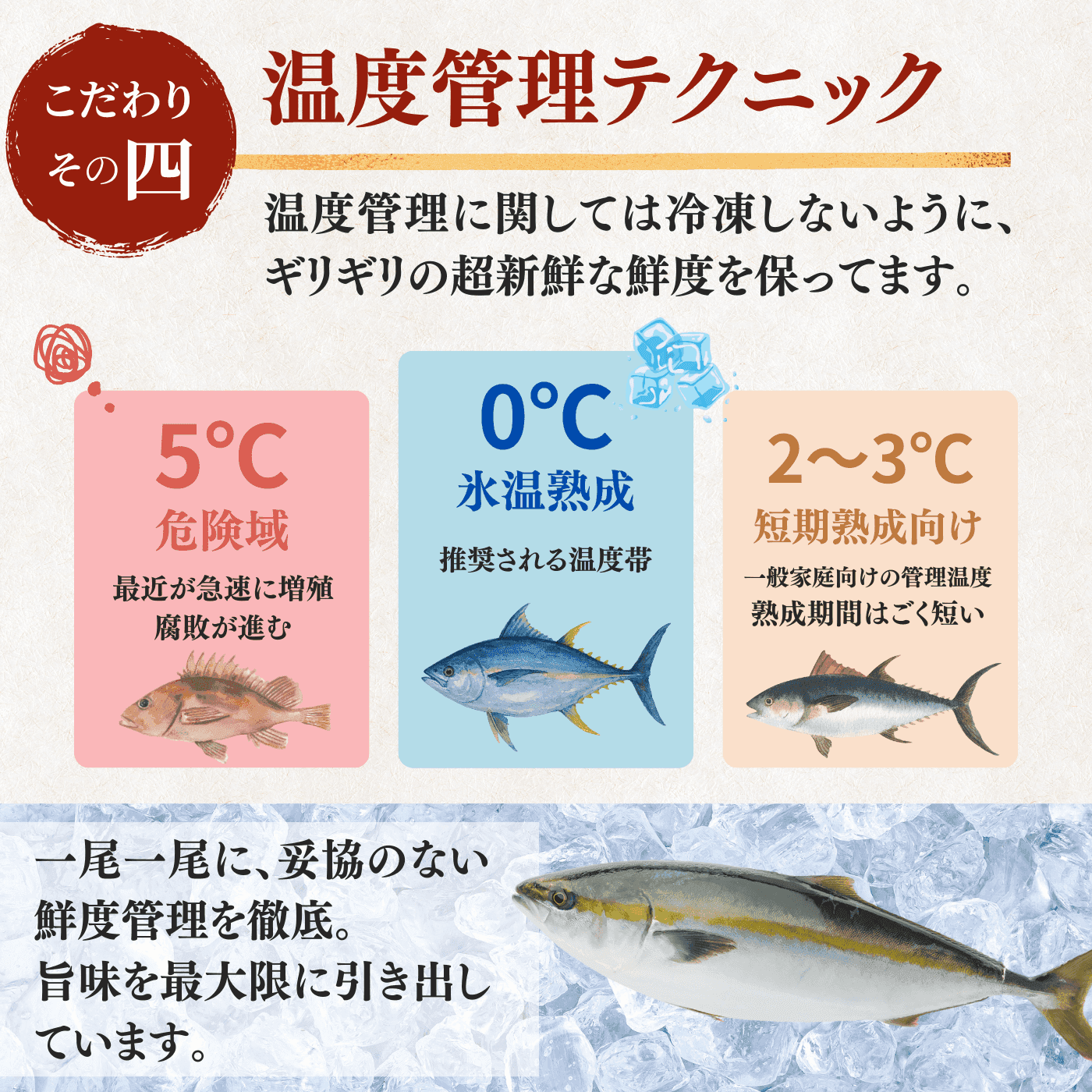 Yellowtail Sashimi Block - 300g
