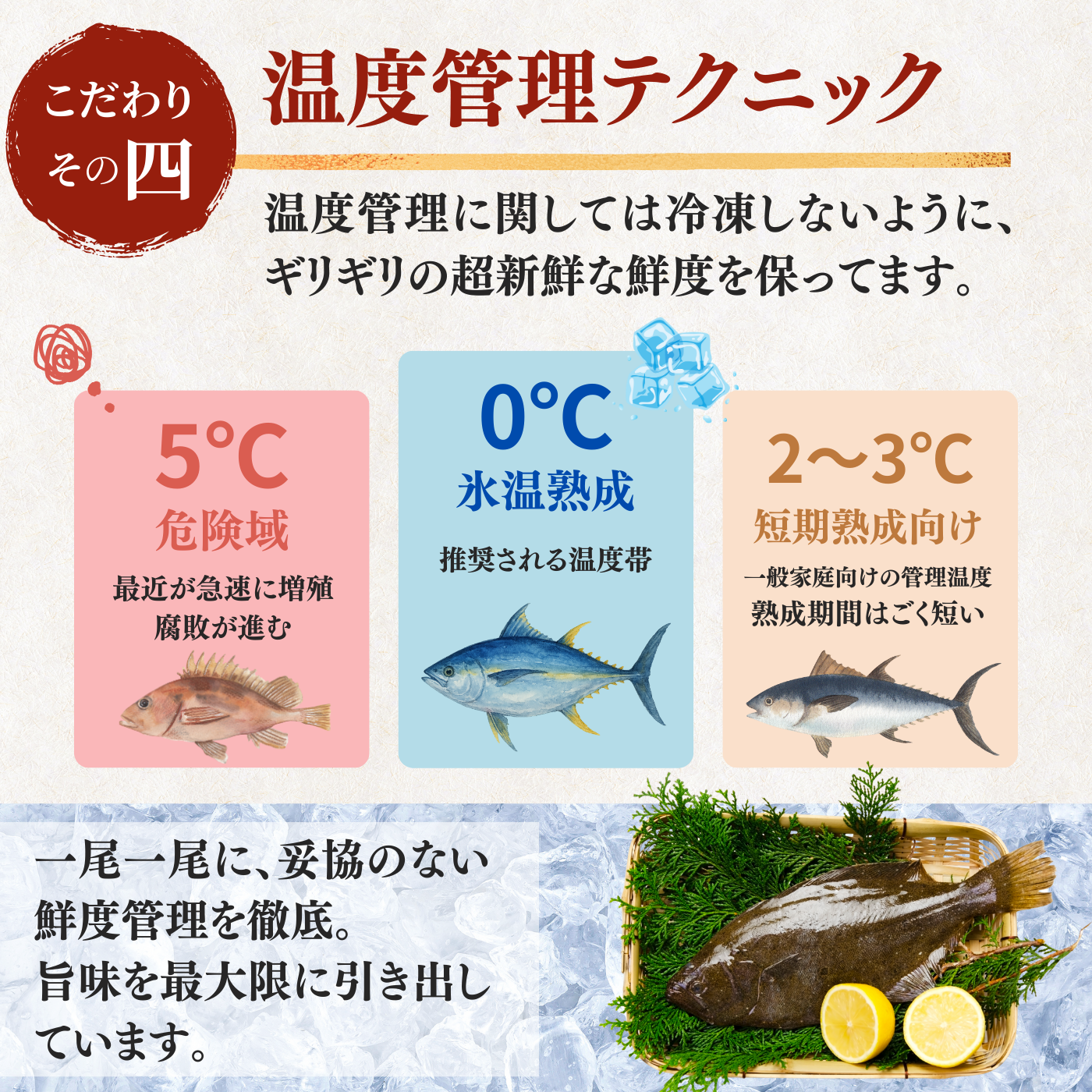 Flounder Sashimi + Engawa (fin muscle) <1 block: 170g>