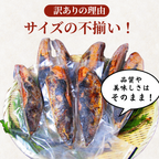 Straw-Seared Bonito Tataki -Frozen- (Imperfect) <Quantity: 1kg-5kg, Approx. 2-14 Fillets>