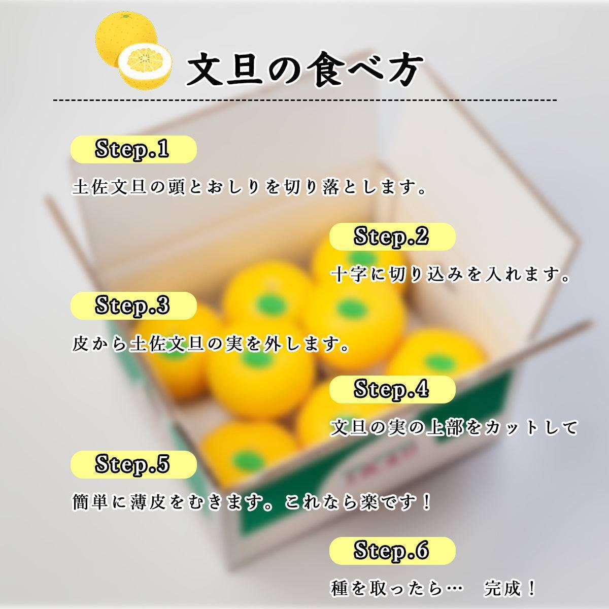 土佐文旦 ＜サイズ：3L 量：10kg＞ 【土佐黒潮水産】公式オンラインショップ 黒潮水産