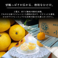 小夏 甘酸っぱさが広がる 果実とむいた断面