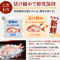 【お刺身セット6種】生カツオのタタキ(1節 or 半節)+ビンチョウマグロ/ブリ/タイ/シマアジ/ヒラメ(各柵150g)