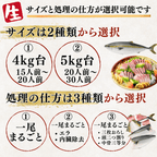 [Ikejime / Pre-processed] Yellowtail <Whole fish, Quantity: 4-5kg>