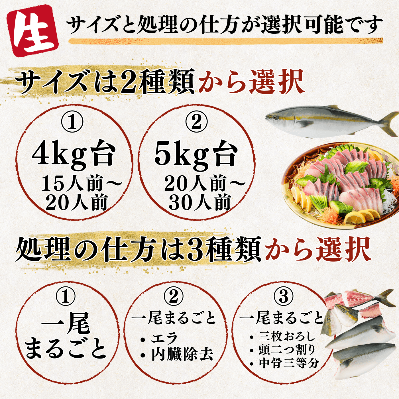 [Ikejime / Pre-processed] Yellowtail <Whole fish, Quantity: 4-5kg>