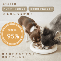ototo: An additive-free pet food for dogs and cats, passionately created by a second-generation fishmonger.