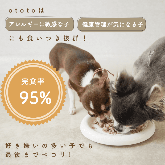 ototo: An additive-free pet food for dogs and cats, passionately created by a second-generation fishmonger.