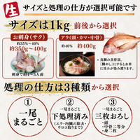 鯛の活き〆 <1kg>　下処理方法選べます