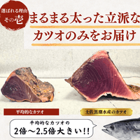 [Gift Set] Seared Bonito (Katsuo no Tataki), 1-2 fillets + Eel from Kochi Prefecture, 1-2 fish