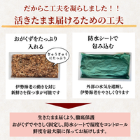 伊勢海老 活きたまま届ける梱包の工夫 おがくずと防水シート