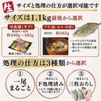 シマアジ ＜一本　量：1.1kg前後＞　下処理方法選べます