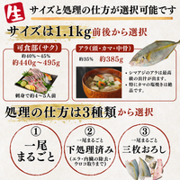 シマアジ ＜一本　量：1.1kg前後＞　下処理方法選べます