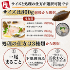 Flounder <1 fish, 800g> Gutting options available