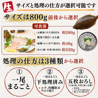 Flounder <1 fish, 800g> Gutting options available