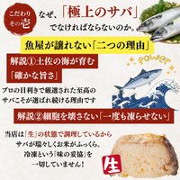 Mackerel Sushi Varieties (Mackerel Sushi, Whole Mackerel Sushi, Grilled Mackerel Sushi, Grilled Whole Mackerel Sushi - 1 to 3 servings each)