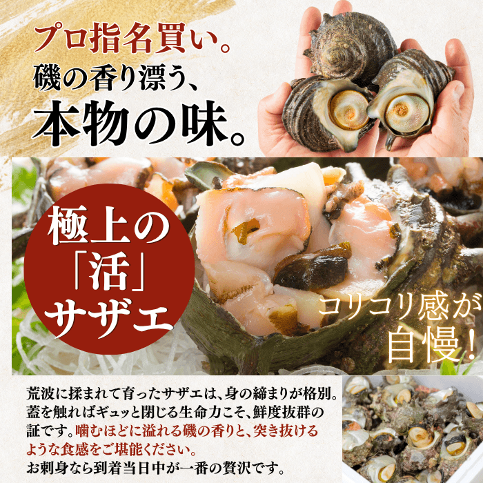 【BBQセット/貝づくし】ハマグリ/サザエ/あわび
