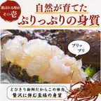 活き 伊勢海老 ＜匹数：1~3尾　量：150〜2100g　目安：1~4.5人前＞