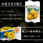水晶文旦の魅力 みずみずしく上品な甘さ ビタミンC 抗酸化成分