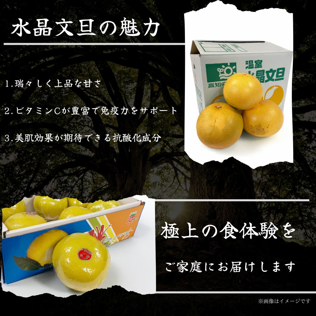 水晶文旦　化粧箱入り ＜サイズ：小3㎏ or 大5㎏＞
