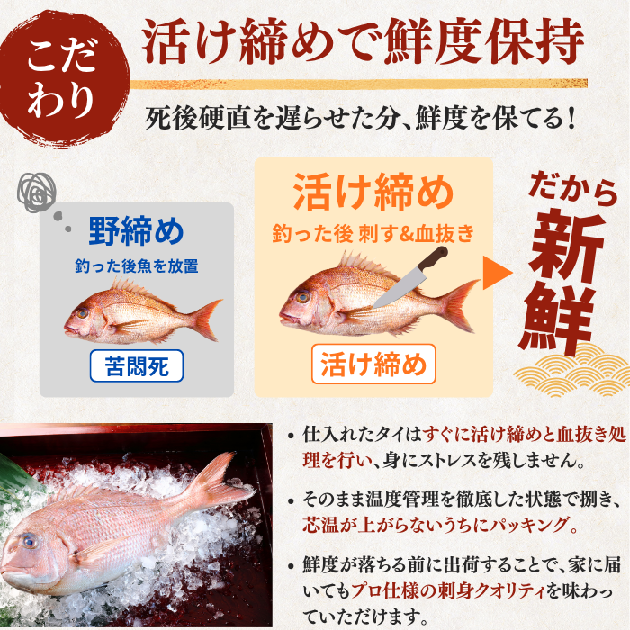 【お刺身セット5種】生カツオのタタキ(1節 or 半節)+ブリ/タイ/シマアジ/ヒラメ(各柵150g)