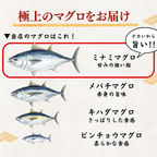 Striped Jack Sashimi ＜1 block, Net Wt. 150g＞