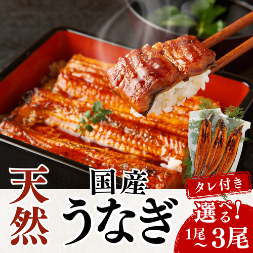 Wild Eel Long Kabayaki Set (Number of Eels: 1-3, Weight: 110-480g)