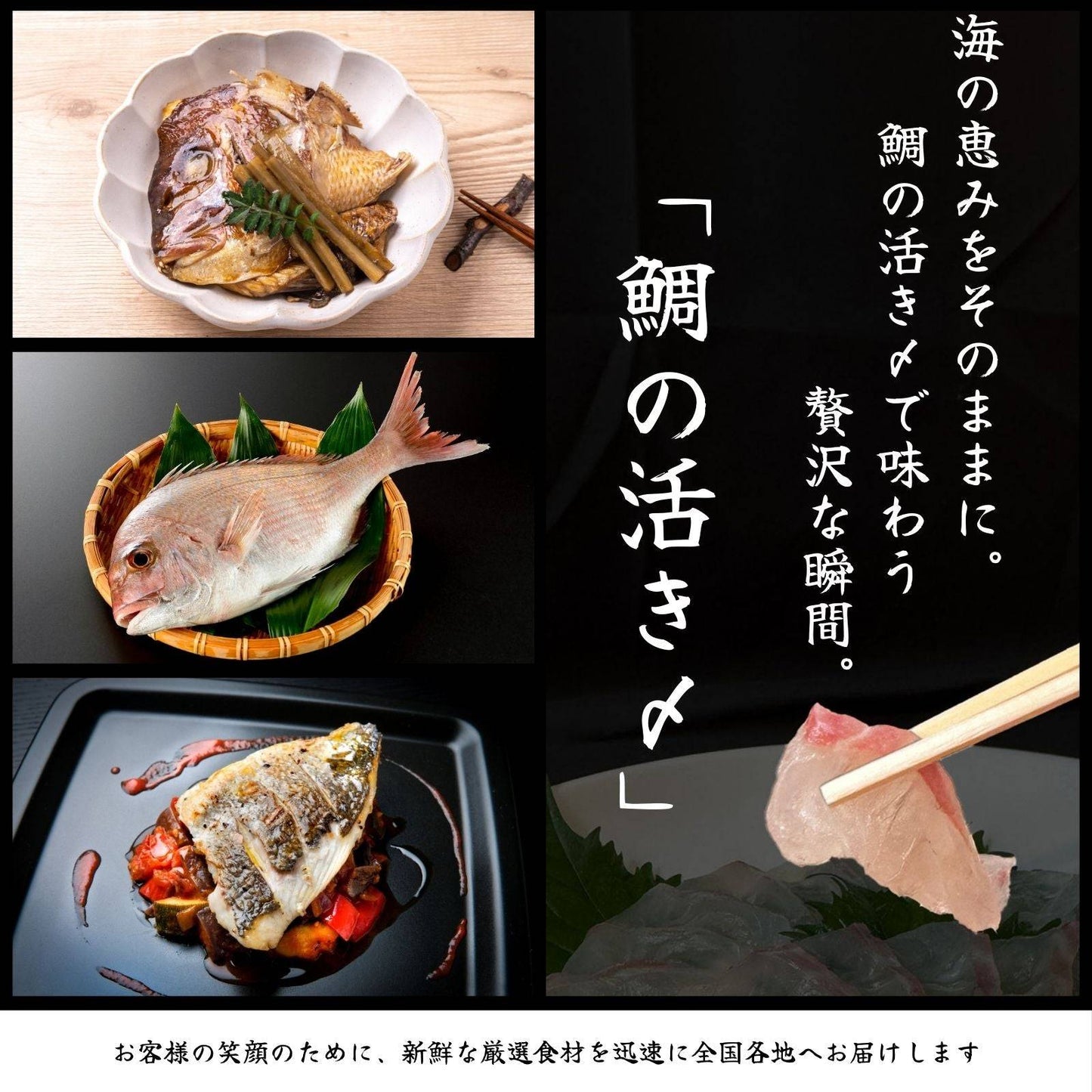 鯛の活き〆 <1kg> 【土佐黒潮水産】公式オンラインショップ 黒潮水産