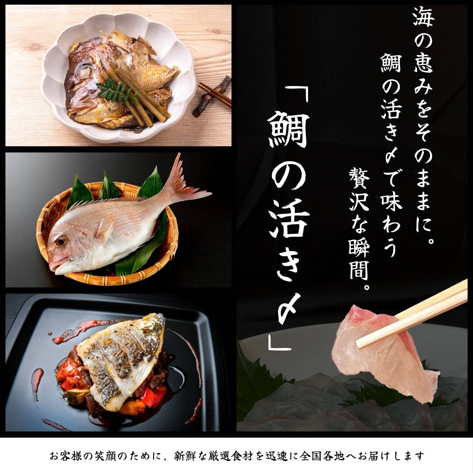 鯛の活き〆 <1kg> 【土佐黒潮水産】公式オンラインショップ 黒潮水産