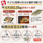 シマアジ ＜一本　量：1.1kg前後＞　下処理方法選べます