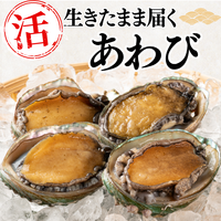 活き あわび 生きたまま届く