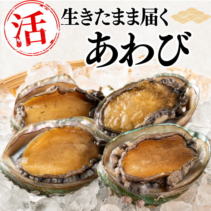 活き あわび 生きたまま届く