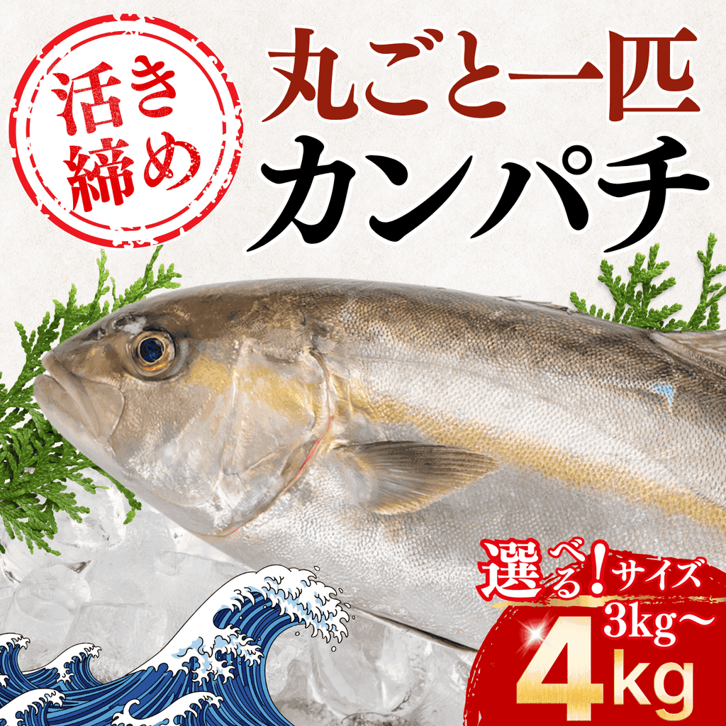 Greater Amberjack <Whole fish, Quantity: 3-4kg>