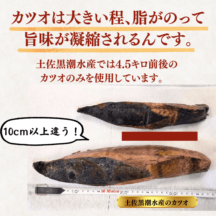[Gift Set] Seared Bonito (Katsuo no Tataki), 1-2 fillets + Eel from Kochi Prefecture, 1-2 fish
