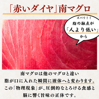 Striped Jack Sashimi ＜1 block, Net Wt. 150g＞