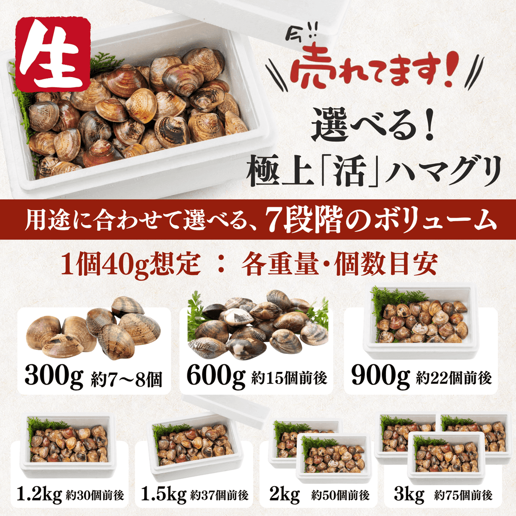 【活き】ハマグリ　＜1枚：40g程＞