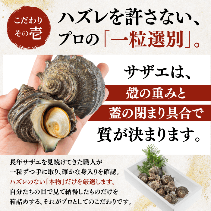【BBQセット/貝づくし】ハマグリ/サザエ/あわび