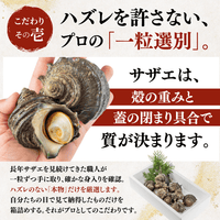 【BBQセット/貝づくし】ハマグリ/サザエ/あわび