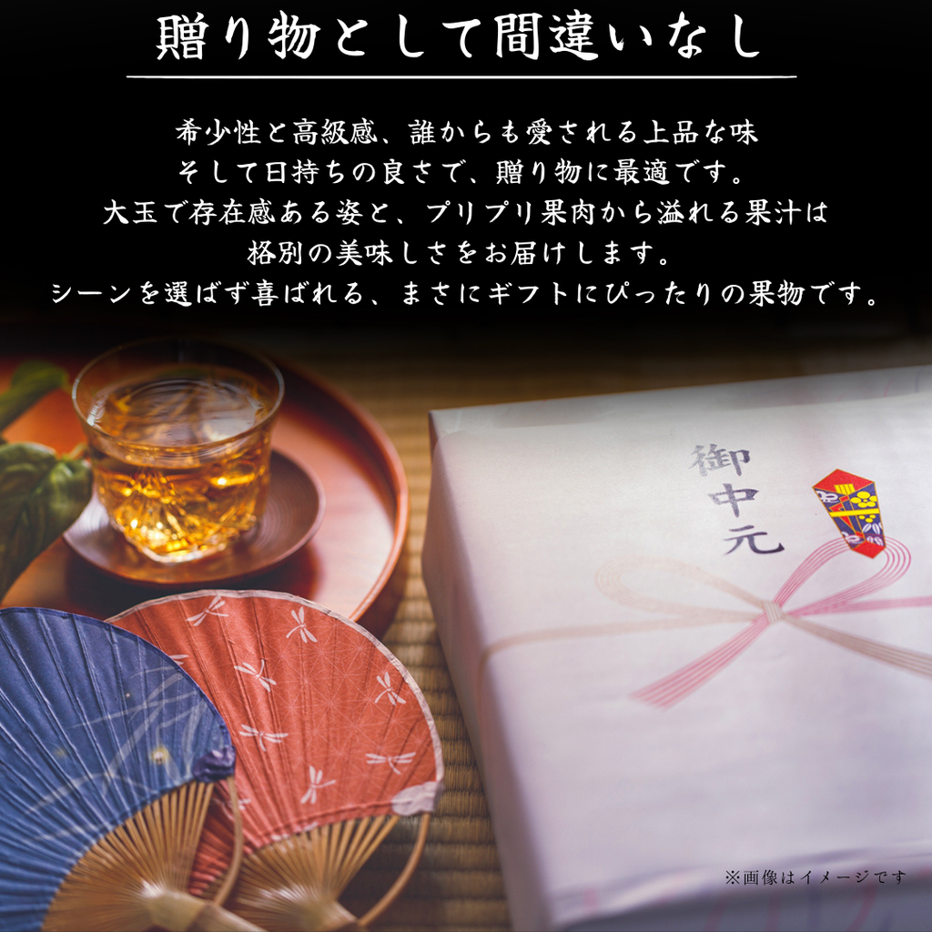 水晶文旦 贈り物として お中元の掛け紙