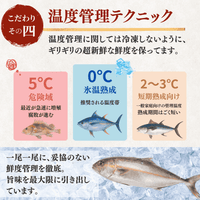 Greater Amberjack Sashimi Block: 300g