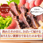 Straw-grilled Bonito Tataki - Raw <Serves 1-8: 250-1500g, 0.5-3 whole loins>